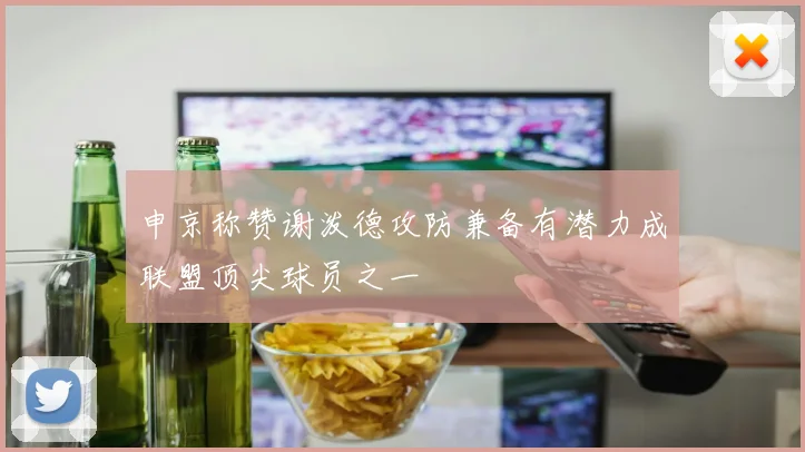 申京称赞谢泼德攻防兼备有潜力成联盟顶尖球员之一